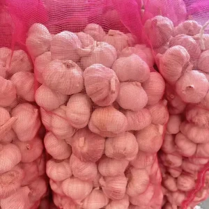 China Good Garlic Brand Supplier Vegetables Agricultural Export Pure Fresh White Garlic with