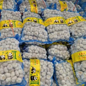 China Good Garlic Brand Supplier Vegetables Agricultural Export Pure Fresh White Garlic with