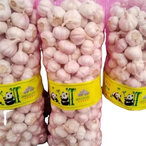 China Natural Fresh White Garlic EU Standard Shandong Origin Exporters Global Market High Quality Price All Year