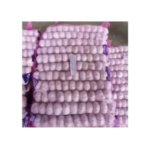 China New Crop Fresh Garlic Super White Garlic