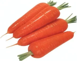 China Organic Fresh Carrots