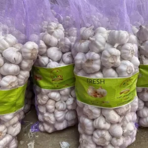 China Origin Factory Supplier Fresh Garlic Harvester Export Yemen Quality Normal White Garlic