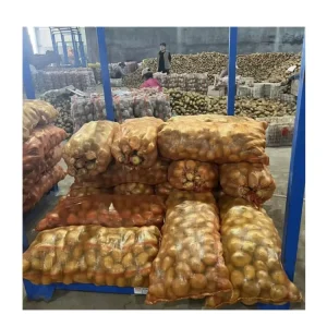 China Potatoes Green Agriculture Vegetables Shandong Export Supplier Holland Potato Fresh