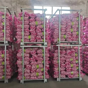 China Professional Fresh White Garlic OPTIMUM Supplier Ail Ajo Alho Competitive Price 4.5cm in Mesh Bag