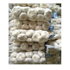 China Shipping Fresh Garlic Lowest Price High Quality Fresh Vegetables Organic Garlic 20KG Mesh Bag Packaging