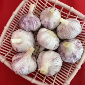 China Supplier’s Fresh White Garlic High Quality Pure Agricultural Export Vegetable