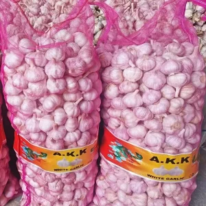 Chinese China New Crop Garlic for Sale Fresh Garlic Vegetables at Low Prices Shandong Garlic Supplier