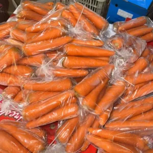 Chinese Fresh Carrotred Carrots for Sale Export Maldives