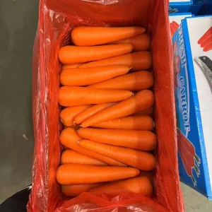 Chinese Fresh Carrots 4kg 10kg Carton Pack Manufacturer