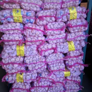 Chinese Fresh Garlic Pure White Normal White Garlic Supplier