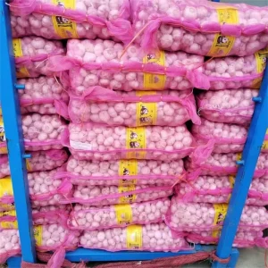 Chinese Fresh Normal White Garlic Supplier