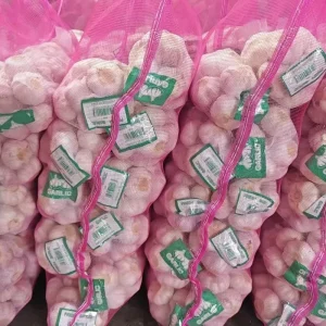 Chinese Fresh Pure Normal White Garlic Factory Exporter