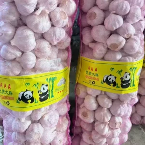 Chinese Fresh Pure or Normal White Garlic Fresh Vegetables Price Alho Ail Ajo Exported From China