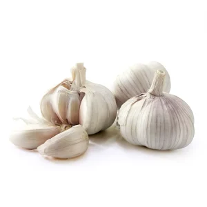 Chinese Fresh Purple Garlic Shandong Origin in Bulk