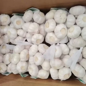 Chinese Fresh White Garlic Professinal Price Supplier Fresh Garlic Alho Ajo