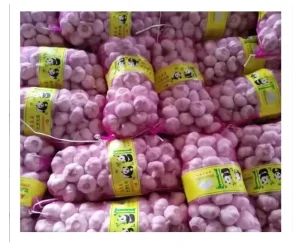 Chinese Fresh White Garlic for Fresh Vegetables in 20kg Mesh Bags cartons Factory Price Fresh White Garlic