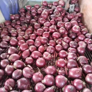 Chinese Fresh Yellow Onions Private Label Sizes 75mm 105mm 20kg Bags Best Quality Red White Onion