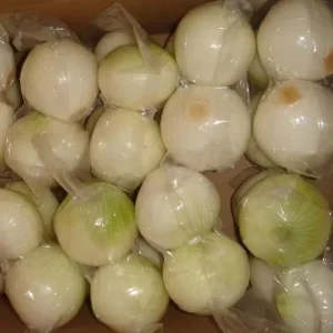 Chinese Low Price Fresh Onions Red Onions 5 8 6 9cm Size Peeled White Onion for Sale