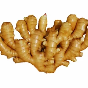 Chinese Mature Ginger Ginger Seeds