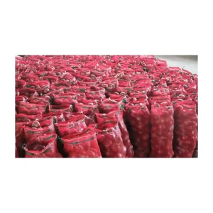 Chinese Natural Fresh Red Onion Manufacturer Best Selling Red Onions Fresh Vegetables 6 9cm Yellow Onion Price