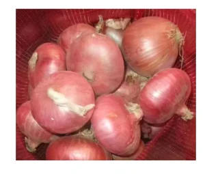 Chinese New Fresh Yellow Red Onion Mesh Bag Purple Origin White Onion Garlic China Non Peeled Onion Price