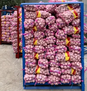 Chinese OPTIMUM Fresh Garlic Fresh Pure Normal White Price Alho Ail Frais Factory Exporter