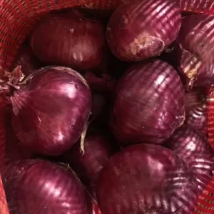 Chinese Onion Competitive Price for Export 5 7cm 6 8cm 9 11cm Red Yellow Onion Cebolla China Fresh Vegetables Supplier