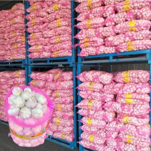 Chinese Supplier Alho Ail G1manufacturer Ajo Normal White Garlic Fresh Vegetables 10 20kg Mesh Bag Fresh Garlic Price