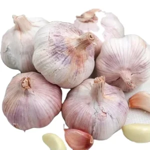 Chinese Suppliers Export New Season Garlic Bulk Peeled Fresh Garlic With Custom Packaging