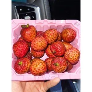 Chinese Sweet Fresh Lychee Litchi Fresh Fruit (GuangLychee Red)