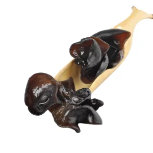 Chinese Top Quality Edible Black Fungus Healthy Dried Natural Mushrooms