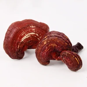 Chinese Traditional Herbal Reishi Mushrooms, Wild Whole Dried Raw Material