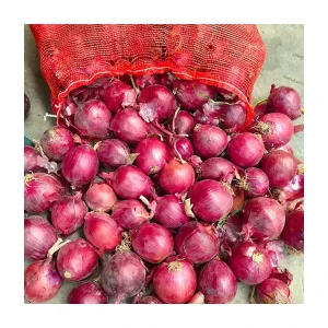 Chinese Vegetables Import Fresh Red Yellow White Onion Price 10kg Bag Bulk Onion Oignon
