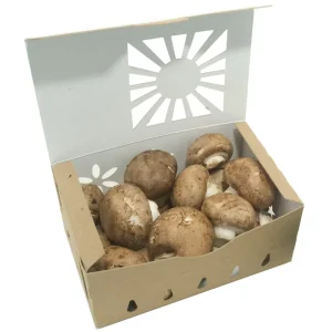 Compostable Recyclable Brown Kraft Paper Boxes with Window for Mushrooms, Fruits, Vegetables, Nuts