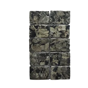 Compressed Black Matsutake Mushroom Agaric