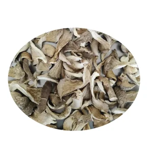 Crisp and Delicious Vacuum Fried Mushroom Oyster Mushroom Dried