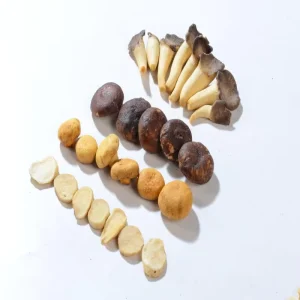 Crunchy Nutritious Salty Vacuum Low Temperature Fried Hard Mixed Mushroom Crisp Box Packaging Portable Snack Oriental Orchard