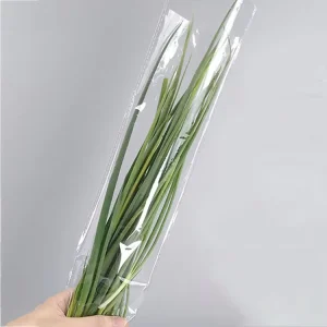 Custom Anti-Foggy BOPP Clear Plastic Vegetable and Fruit Packaging Bag