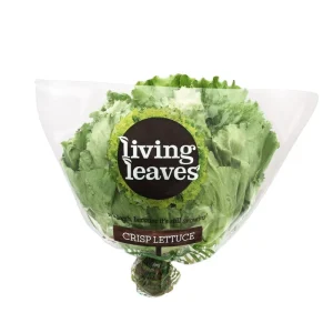 Custom Logo Food Grade Eco friendly for Heat Sealed Gravure Printed Recyclable OPP+CPP Ladder shaped Vegetable Packaging