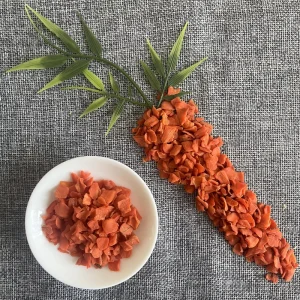 D011 Natural Dried Carrot Slices Vegetable Pet Treats for Cats