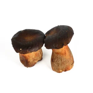 DETAN Factory Growing Cultivated High Quality Edible Chinese Fresh Black Boletus Edulis Mushroom