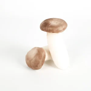 DETAN Factory Growing Cultivated High Quality Edible Chinese Fresh Pleurotus Eryngii Mushroom