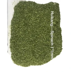 Dehydrated Vegetable Dehydrated Spinach