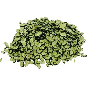 Direct From Chinese Factories Bulk Dehydrated Cucumber Slices Vacuum-Fried Cucumber Crisps