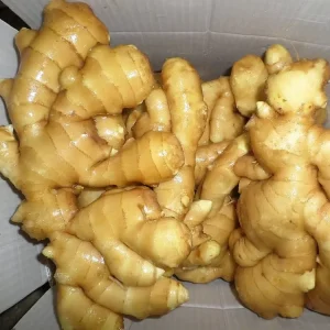 Dried Fresh Ginger Per Ton for Export in China