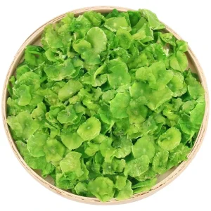 Dried Sliced Lettuce and Dehydrated Asparagus Tribute Slices