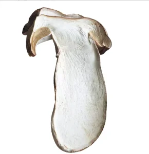 Dried Whole Cultivated Porcini Mushrooms Penny Bun Mushrooms