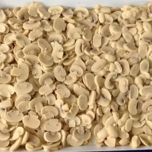 Easy Open Seasoned Champignon Mushrooms Canned in Salty Brine HALAL KOSHER Certified 24 Months Shelf Life