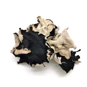Edible Fresh White-Backed Black Fungus Dried White-Back Mushroom Wood Ear Fungus