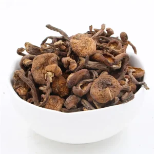 Edible Wild Whole Dried Armillaria Mellea Honey Mushrooms Fungus 100% Content Brown Chengyitang Brand for Online Sale